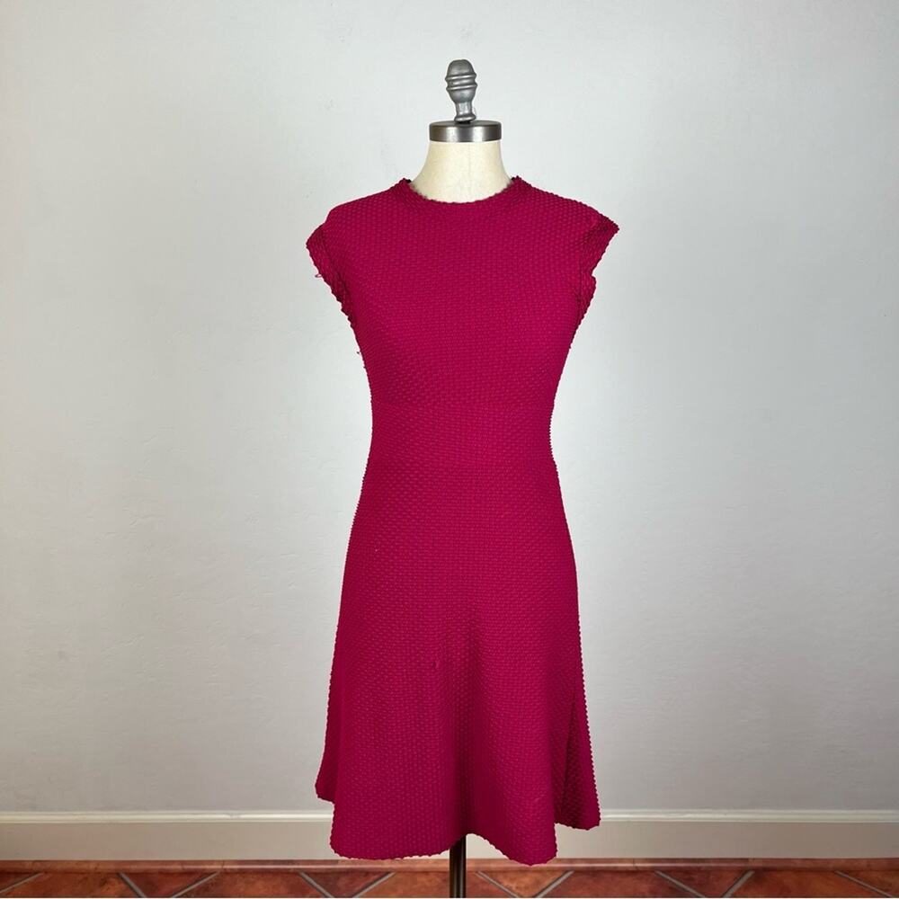 Anthropologie Amandi Pink Pin Dot Textured Dress